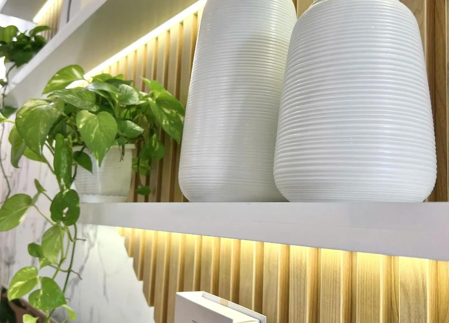 Nha Trang Sea View Apartment 0*, 芽庄 越南